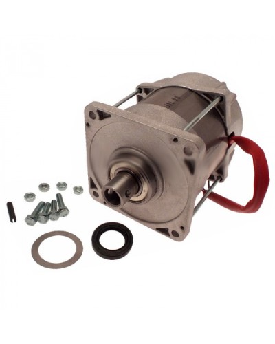 Электродвигатель FERNI Came 119RID087 в Дербенте Запчасти для шлагбаумов и автоматики Pintop.ru