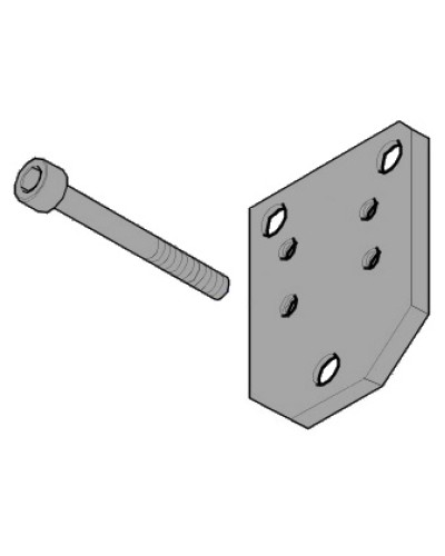 Пластина монтажная FLEX Came 119RID143 в Дербенте Запчасти для шлагбаумов и автоматики Pintop.ru
