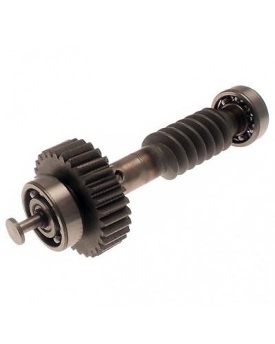 Червяк редуктора FAST в сборе Came 119RID228 в Дербенте Запчасти для шлагбаумов и автоматики Pintop.ru