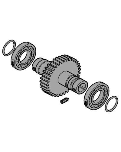 Вал выходной EMEGA Came 119RIE062 в Дербенте Запчасти для шлагбаумов и автоматики Pintop.ru