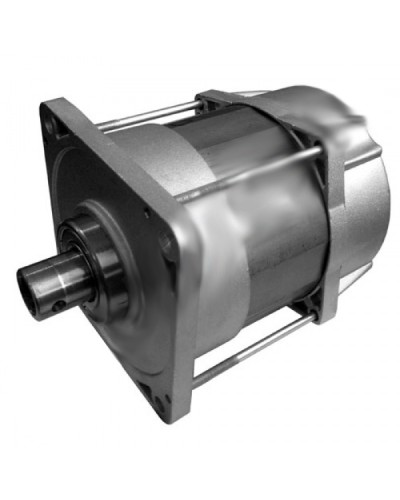 Электродвигатель E1024 Came 119RIE072 в Дербенте Запчасти для шлагбаумов и автоматики Pintop.ru