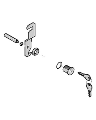 Замок дверцы G4040 G4041 Came 119RIG176 в Дербенте Запчасти для шлагбаумов и автоматики Pintop.ru