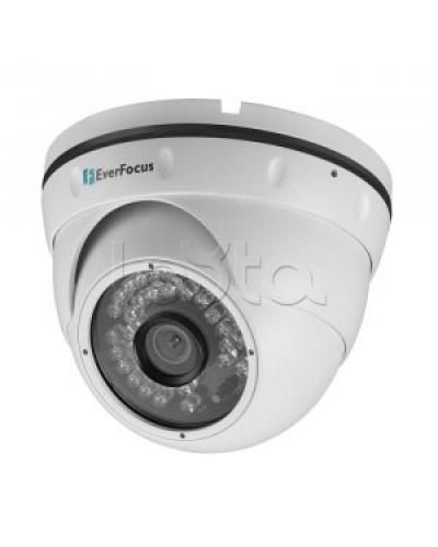 IP-камера видеонаблюдения купольная EverFocus ACE-IAV30 в Дербенте IP-камеры Pintop.ru