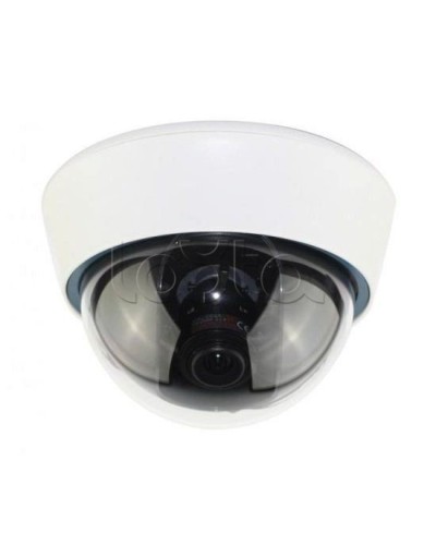 IP-камера видеонаблюдения купольная EverFocus ACE-IOV20A в Дербенте IP-камеры Pintop.ru