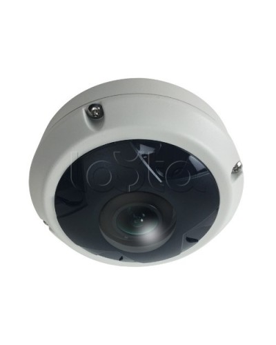 IP-камера видеонаблюдения купольная EverFocus ACE-KU89F в Дербенте IP-камеры Pintop.ru