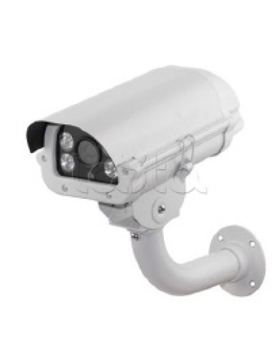 IP-камера видеонаблюдения в стандартном исполнении EverFocus ACE-PAV20F в Дербенте IP-камеры Pintop.ru