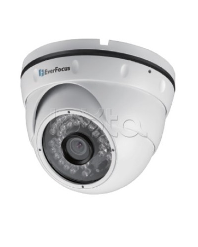 IP-камера видеонаблюдения уличная купольная EverFocus EBN-268 в Дербенте IP-камеры Pintop.ru