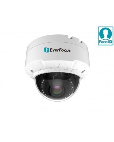 IP-камера видеонаблюдения купольная EverFocus EHN-2550 в Дербенте IP-камеры Pintop.ru